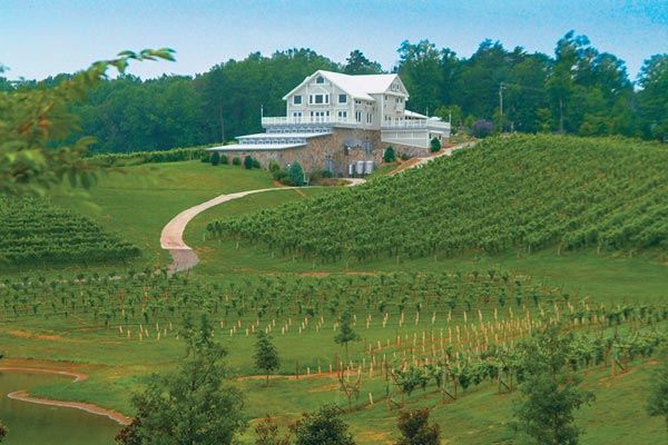 Dahlonega Wineries