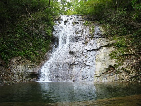 Ellrod Falls TN