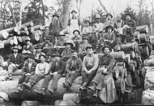 Logging in the appalachians