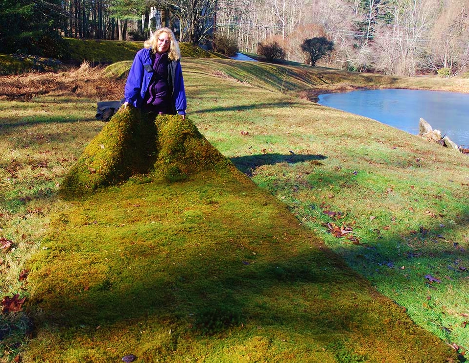 Moss Carpet Annie Martin