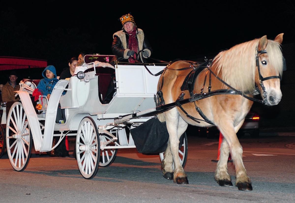 Appalachian carriage rides for the holiday