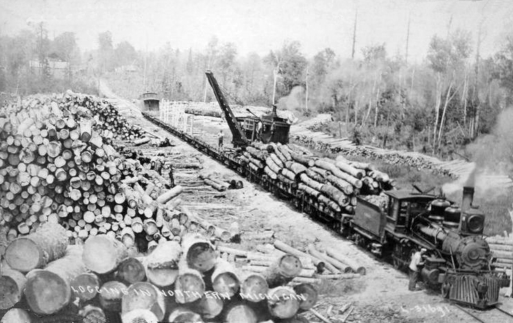 Logging train