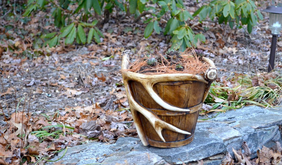 sheds add interest to rustic decor
