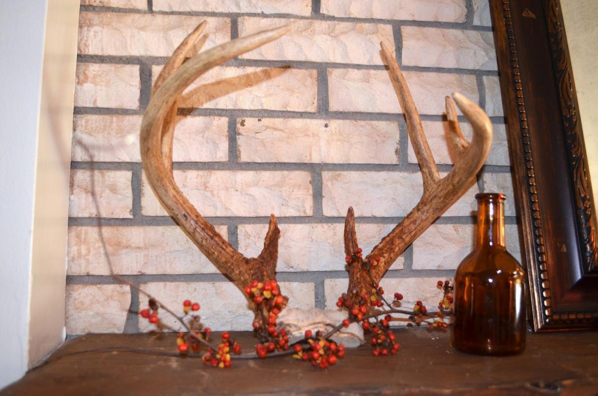 Use sheds to decorate your house