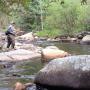 Appalachian Fly-Fishing