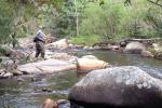 Appalachian Fly-Fishing