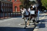 Appalachian horse-drawn carriage rides